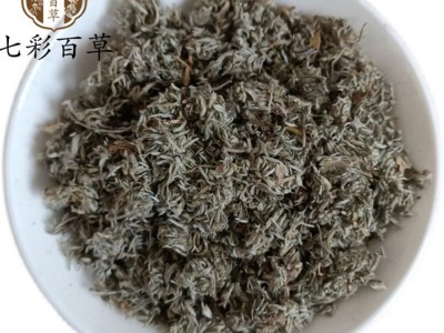 绵茵陈 除尘茵陈选货 产地 河南省